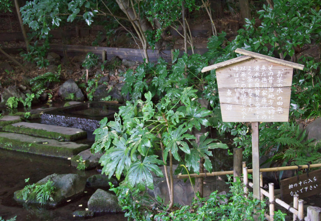 吉祥寺　井の頭公園のお茶の水