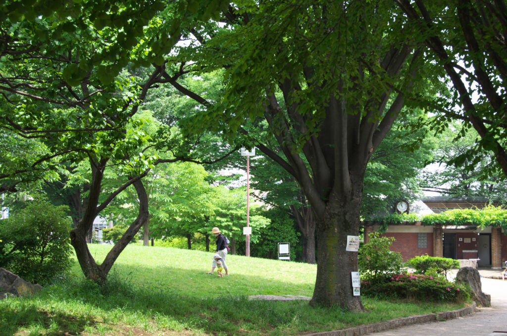 武蔵野市　関前公園